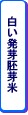 白い発芽胚芽米