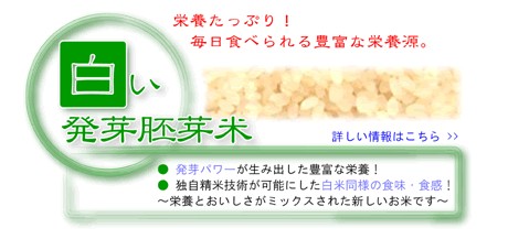白い発芽胚芽米