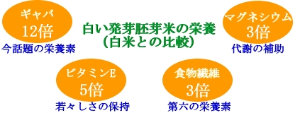 icon-hakumaitonohikaku icon-hakumaitonohikaku