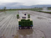 田植え風景06.05.19