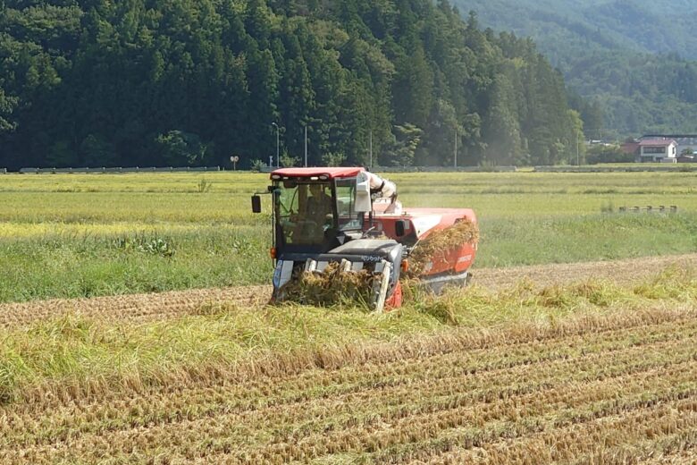 令和7年産米の稲刈り始まる