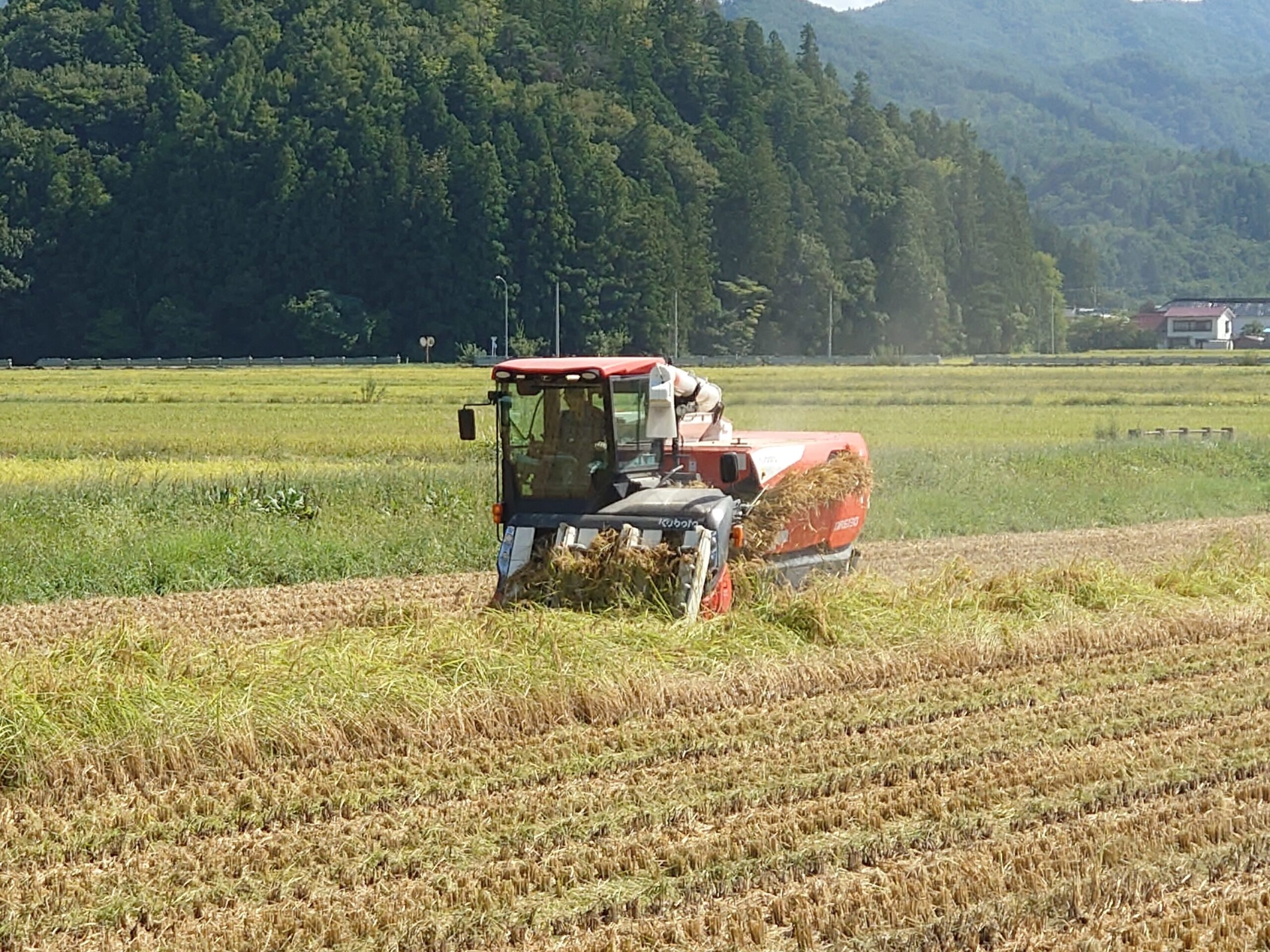 令和7年産米の稲刈り始まる - 農地所有適格法人 株式会社 米夢の郷