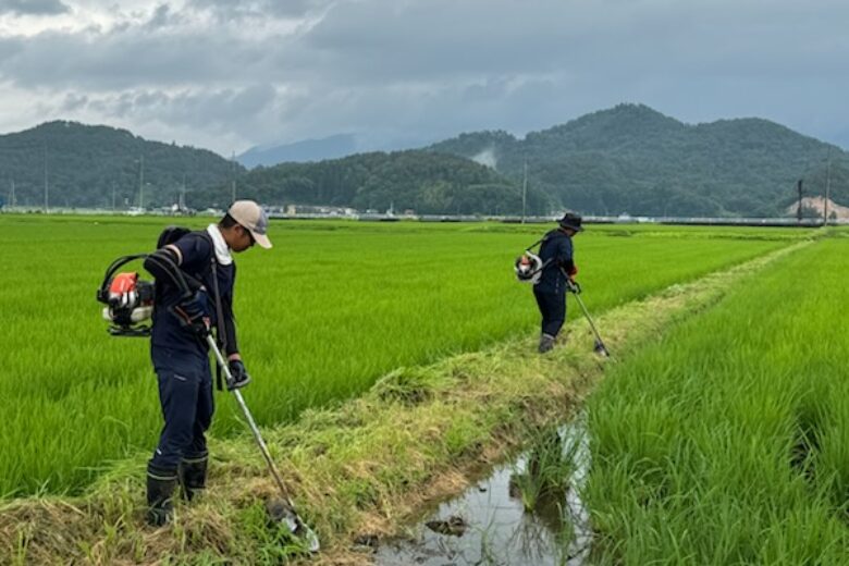 草刈り作業と溝切り作業