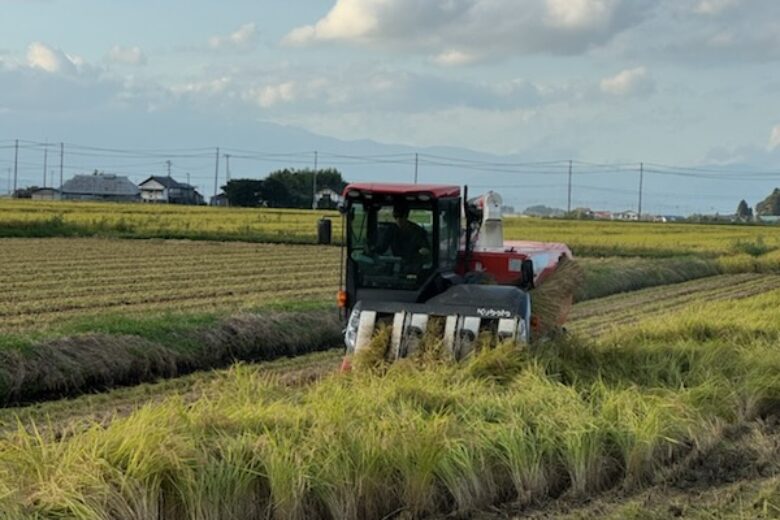 稲刈り作業開始