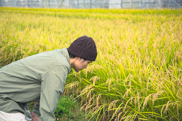 未来へ農地を残す